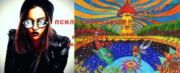 кокс Абаза