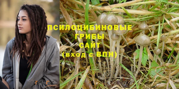 бошки Абдулино