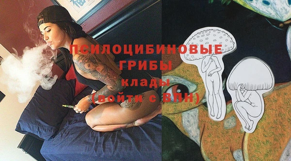 бошки Абдулино