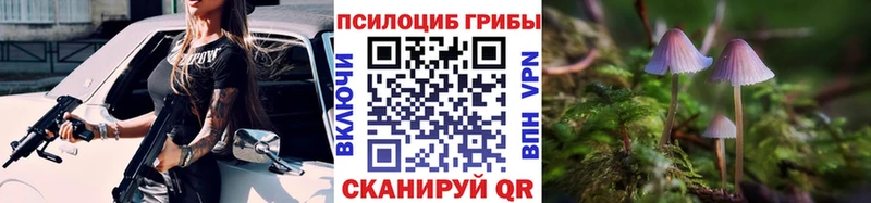 Псилоцибиновые грибы мицелий Киренск